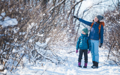 January in the Sioux Falls Area