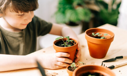 3 Indoor Activities to Enjoy with Your Kids at the End of Winter