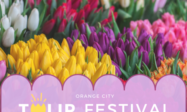 Family Guide to the Orange City Tulip Festival