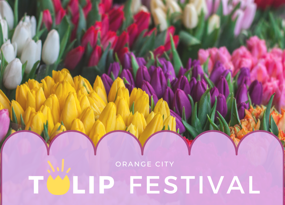 Family Guide to the Orange City Tulip Festival