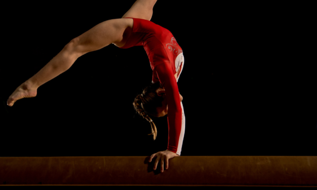 Activity Guide: Gymnastics,