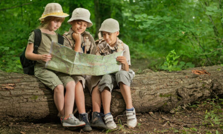 Activity Guide: Scouts