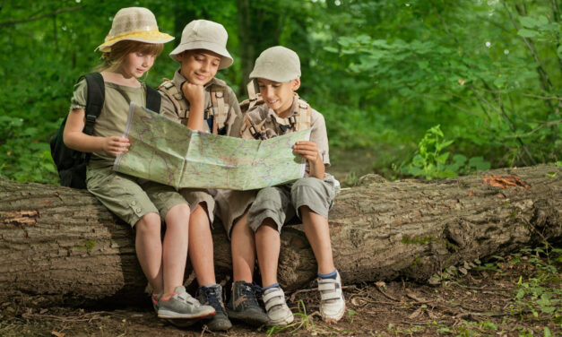 Activity Guide: Scouts