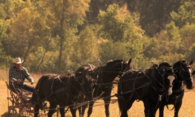 45th Annual Homesteader Day