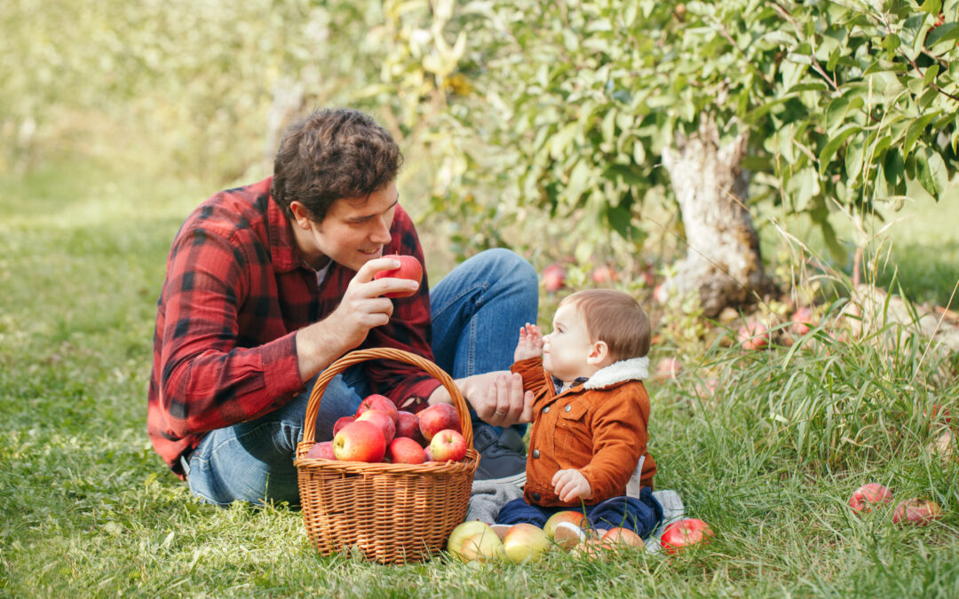 Sioux Falls Area: Apple Picking Guide