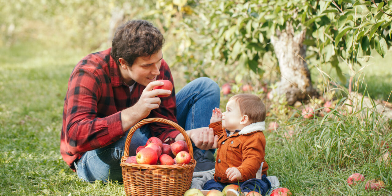 Sioux Falls Area: Apple Picking Guide