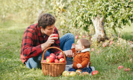 Sioux Falls Area: Apple Picking Guide