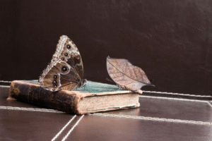Books and Butterflies