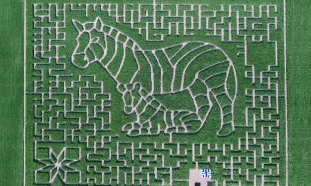 Heartland Country Corn Maze – Open Labor Day