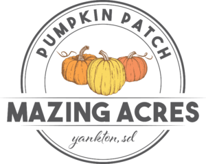 Fall Festival at Mazing Acres Pumpkin Patch