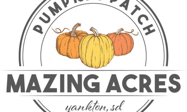 Fall Festival at Mazing Acres Pumpkin Patch