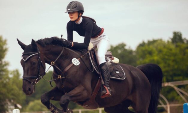 Sioux Falls Area Equestrian Programs