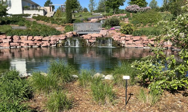 Yoga at the Arboretum