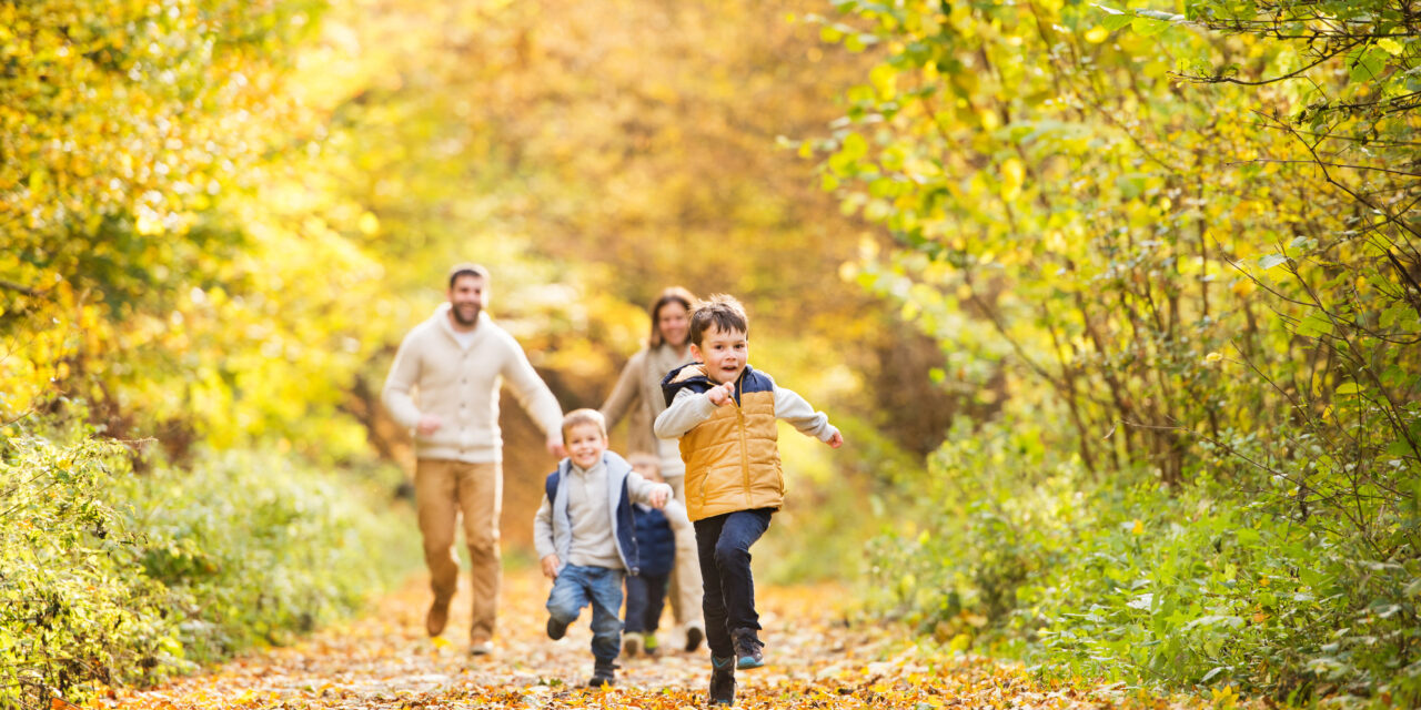 8 Things to Do on a Family Fall Walk