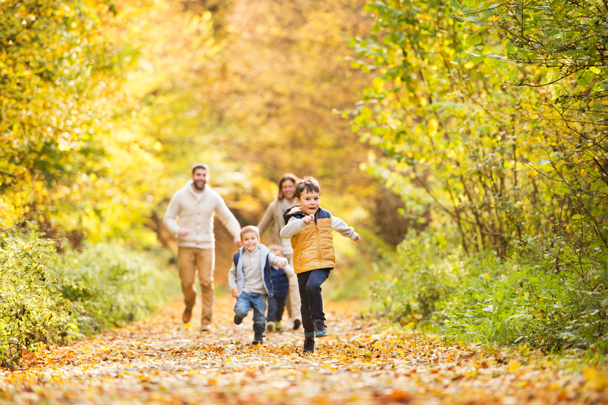 Family walking on a path in fall<br />
