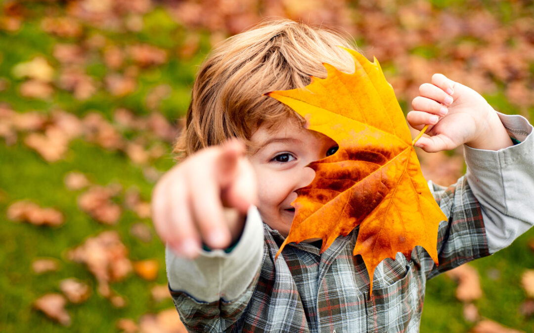 Where to Enjoy the Fall Colors: Sioux Falls Area