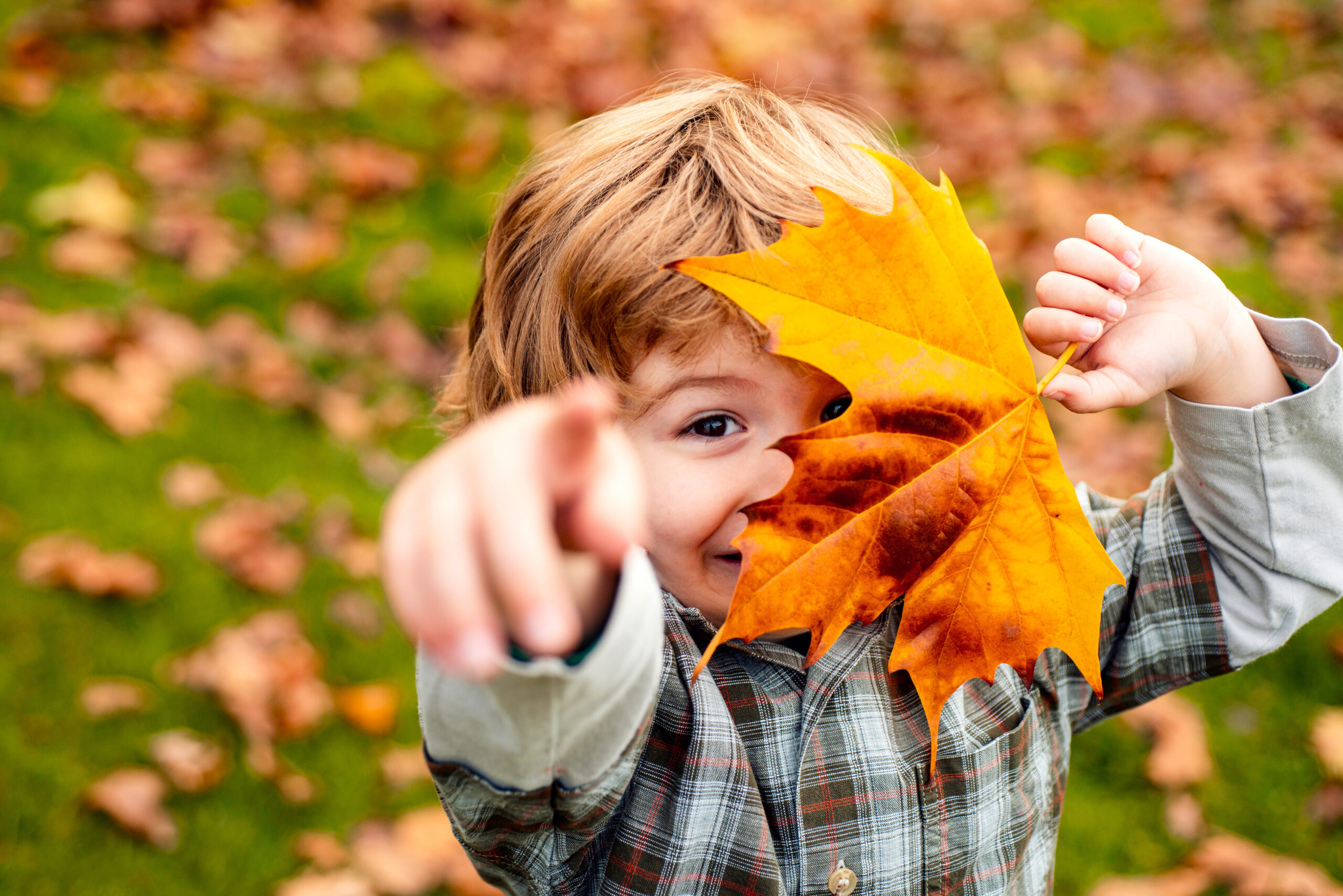 Boy holding a fall leaf<br />
