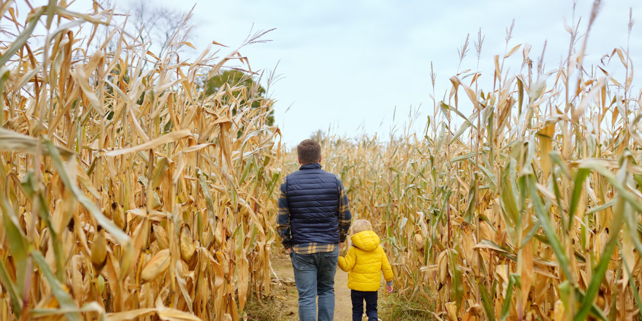 Corn Mazes in the Sioux Falls Area