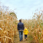 Corn Mazes in the Sioux Falls Area