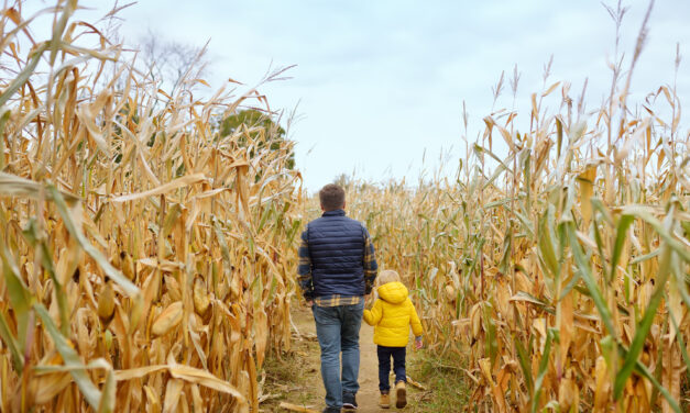 Corn Mazes in the Sioux Falls Area