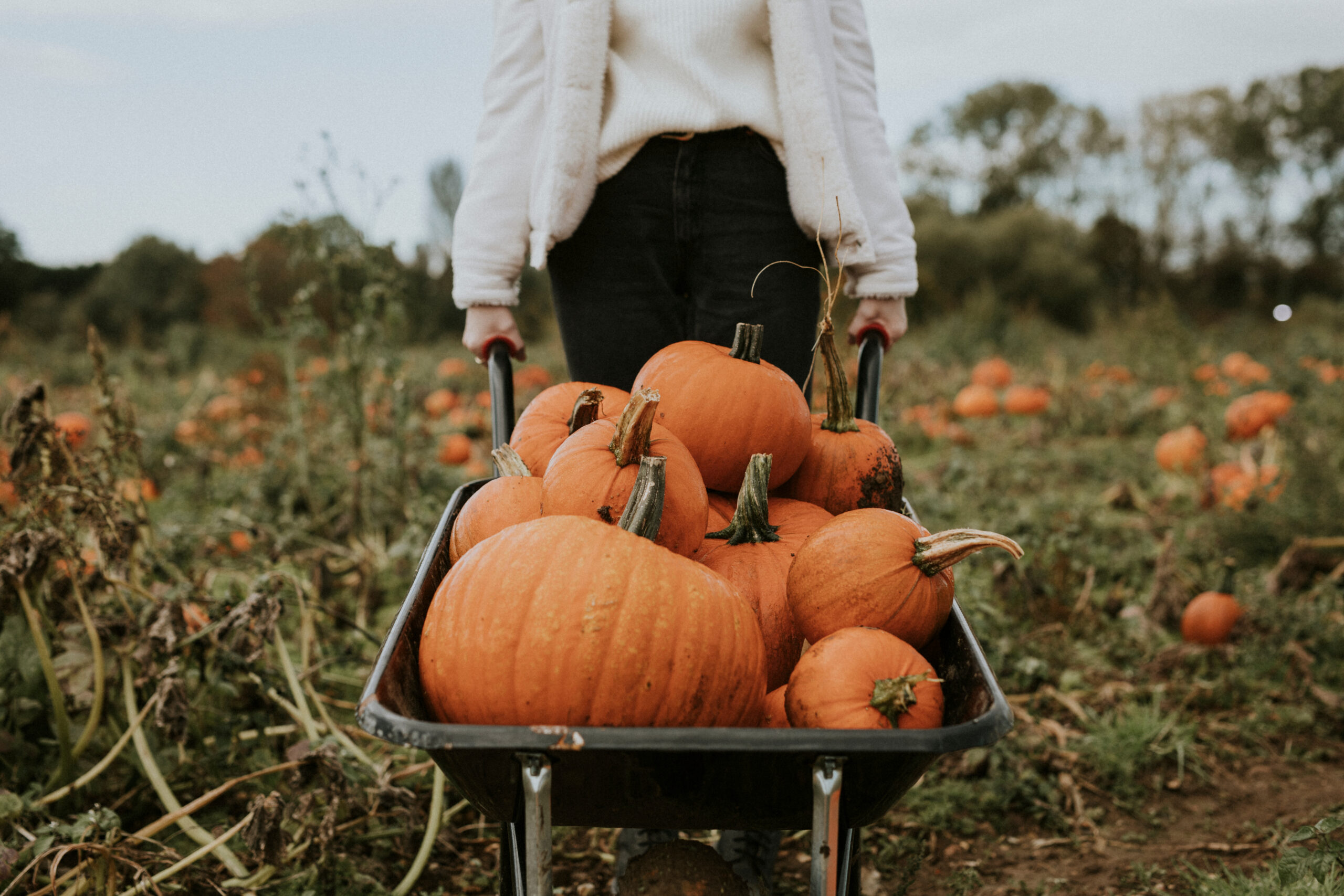 Women in a a Pumpkin Patch.