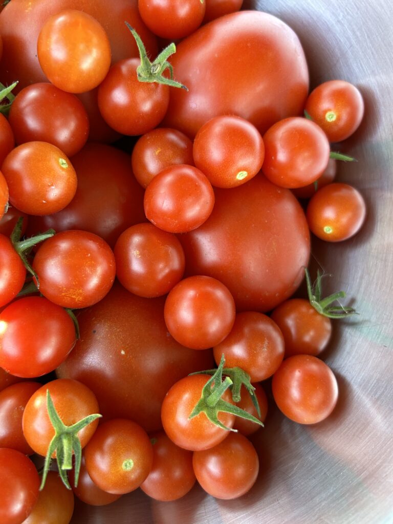 bowl of tomatoes