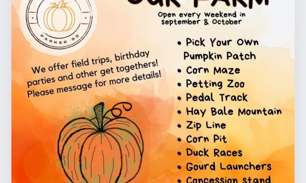 Our Farm – Corn Maze/Pick your own Pumpkins