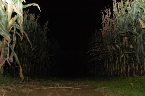 HAUNTED Heartland Country Corn Maze