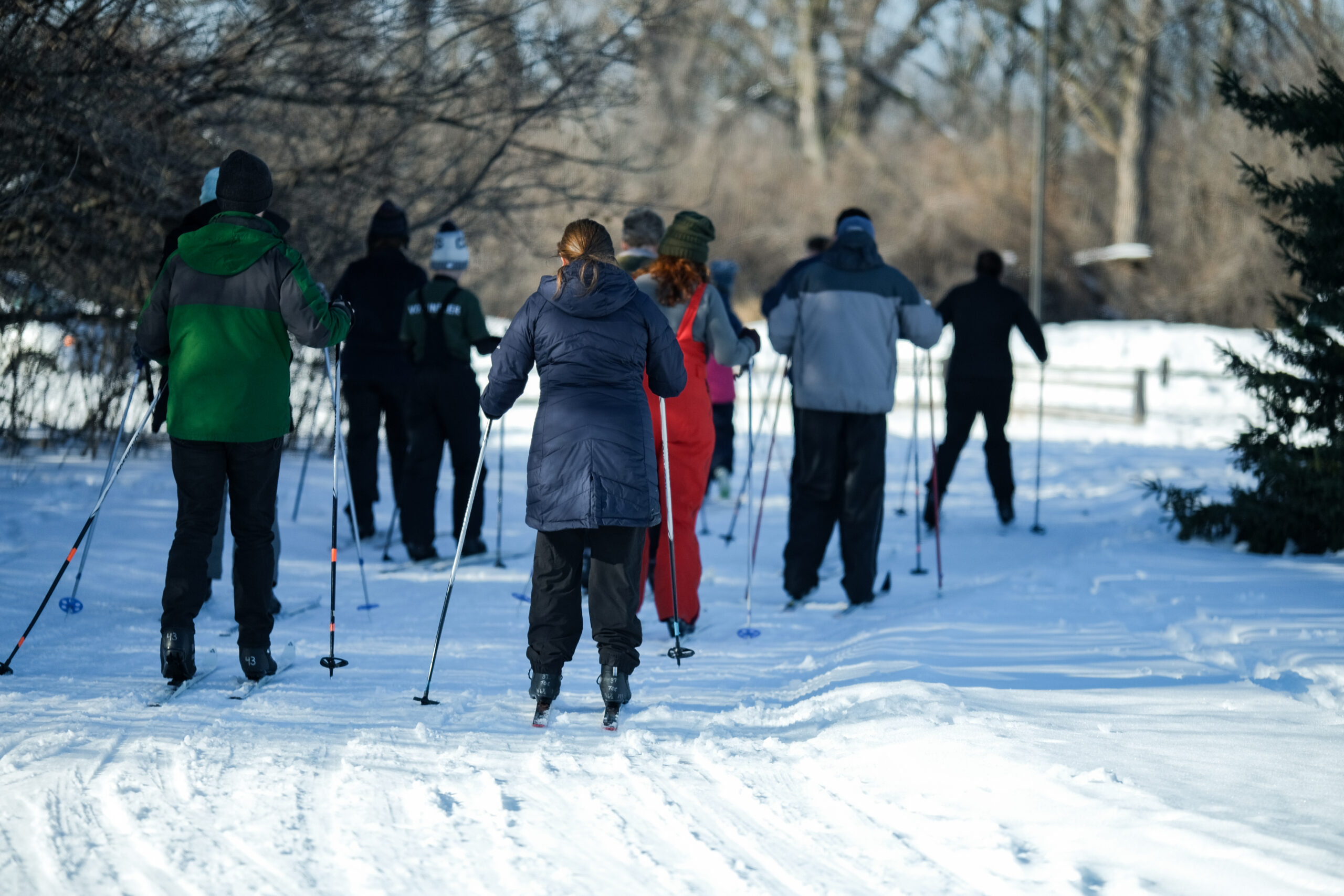 Winter Class teaching skiing