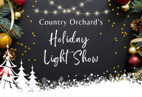 Country Orcahrd Light Show Logo