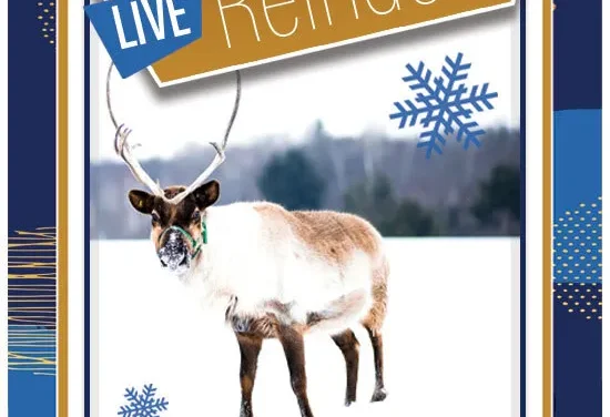 Santa and Live Reindeer at Lewis