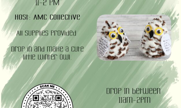 Snowy Owl Make and Take