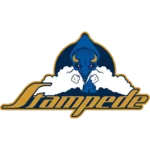 Sioux Falls Stampede