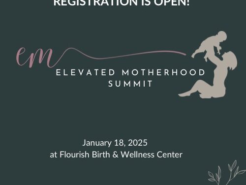 Elevated Motherhood Summit