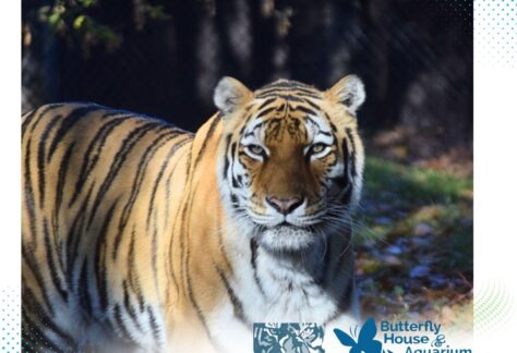 great plains zoo