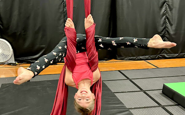 Saturday Beginner Aerial Silks Class (Ages 8+)