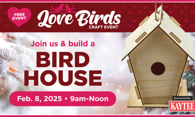 Love Birds Craft Event