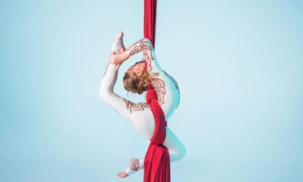 Activity Guide: Aerial Silks