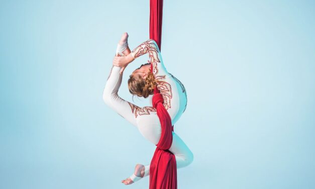 Activity Guide: Aerial Silks