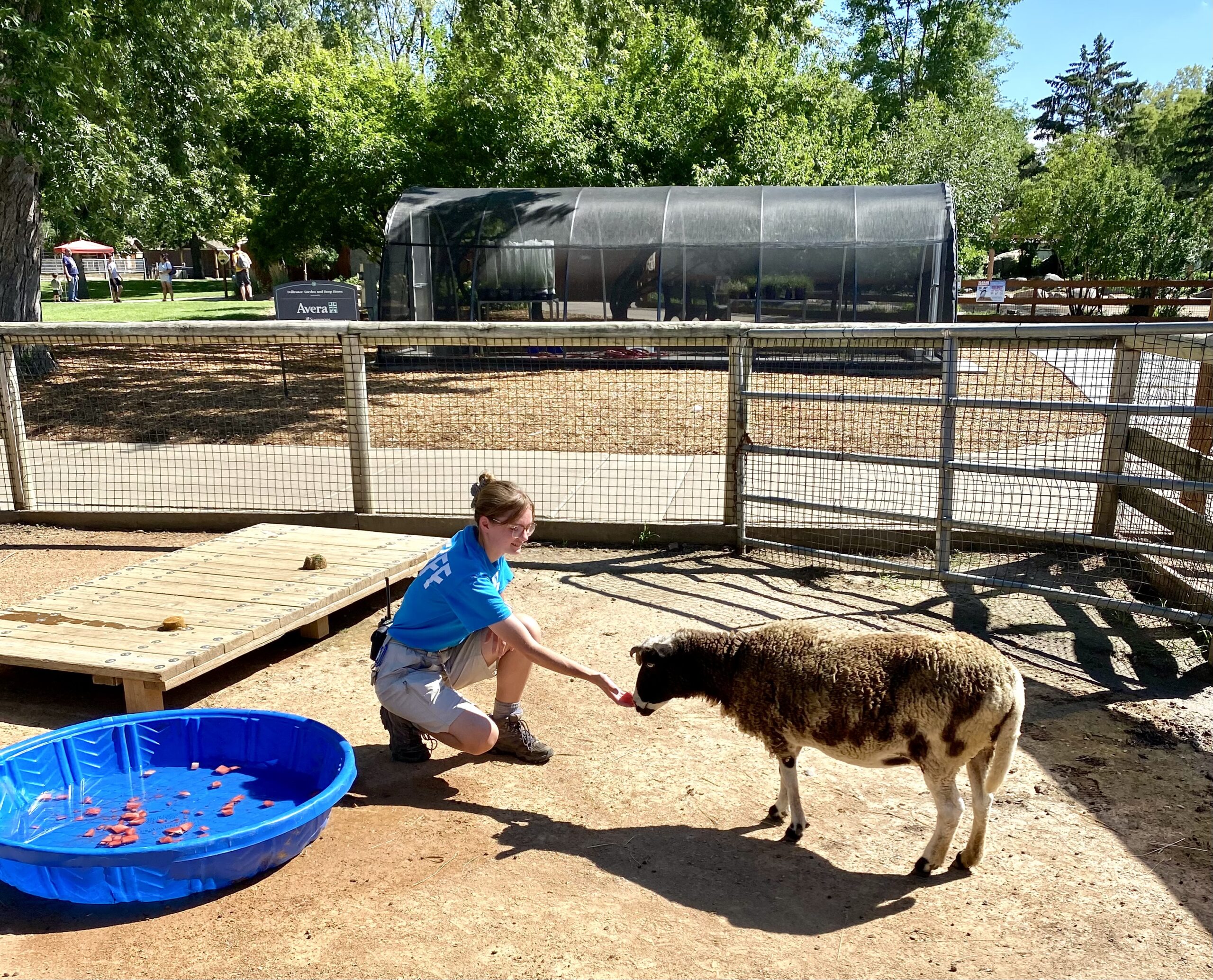 Feeling an Animal at the Great Plains Zoo