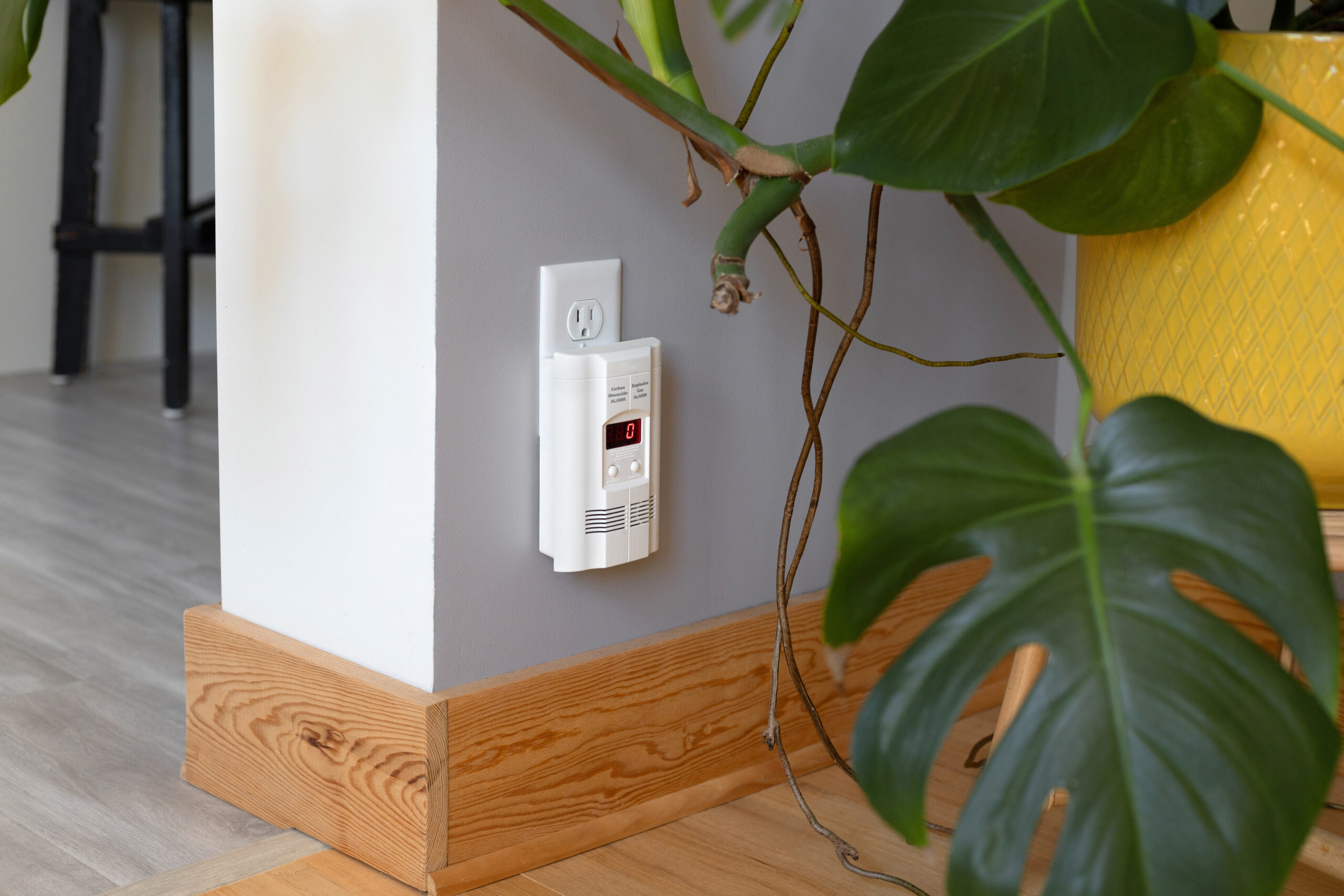 Carbon Monoxide Detector
