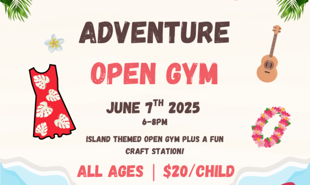 Island Adventure Open Gym
