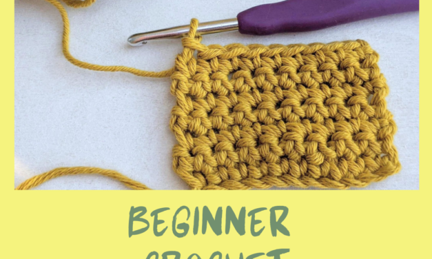 🧵 Beginner Crochet Workshop with Knotty Flowers