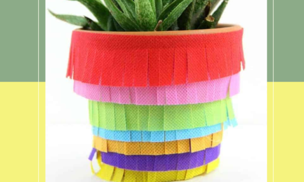 🌵 Fiesta Planters Make & Take 🌵