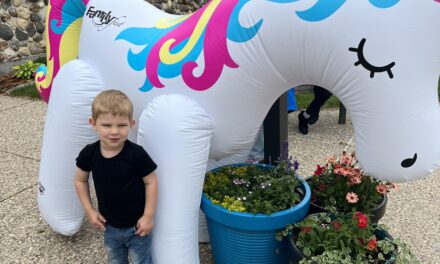 Why Familyfest is Worth the Drive 