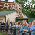 Zoofari