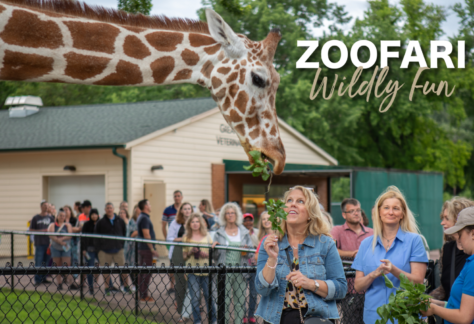 Giraffe Feeding at the Zoo