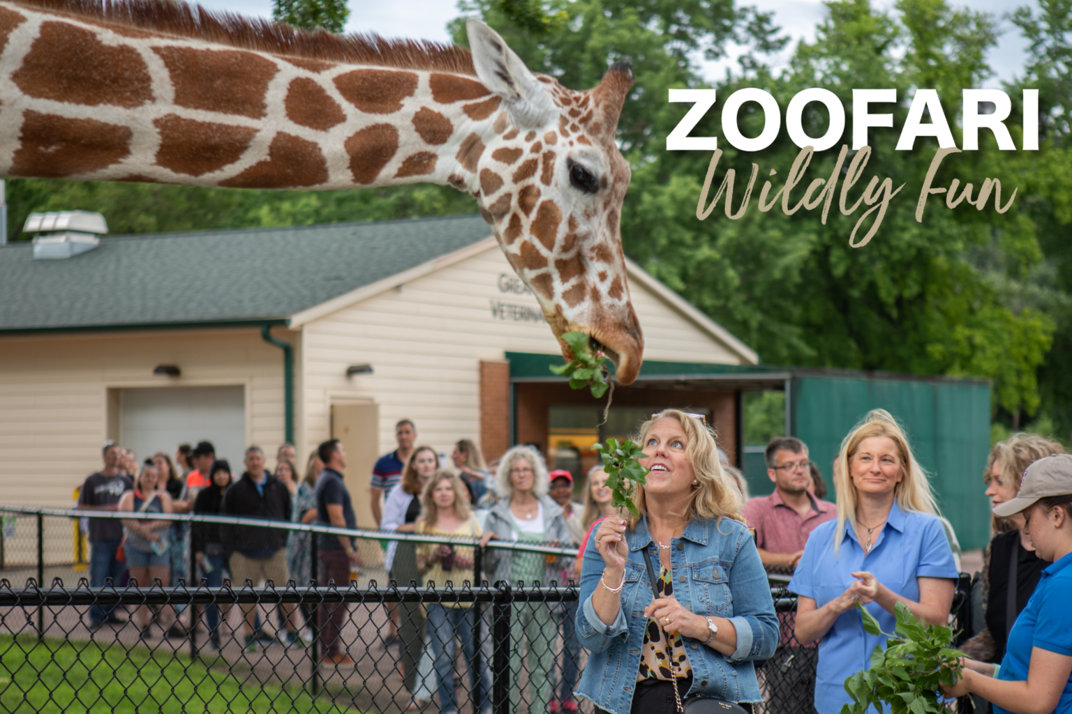Zoofari