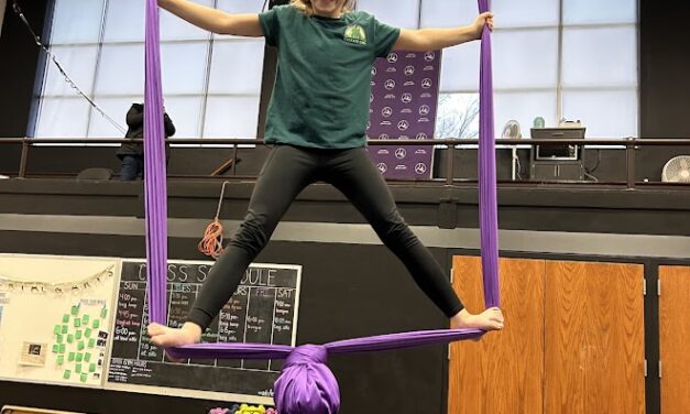 Bounce & Fly Kid’s 1/2 Day Aerial Summer Camp (Ages 6-14)