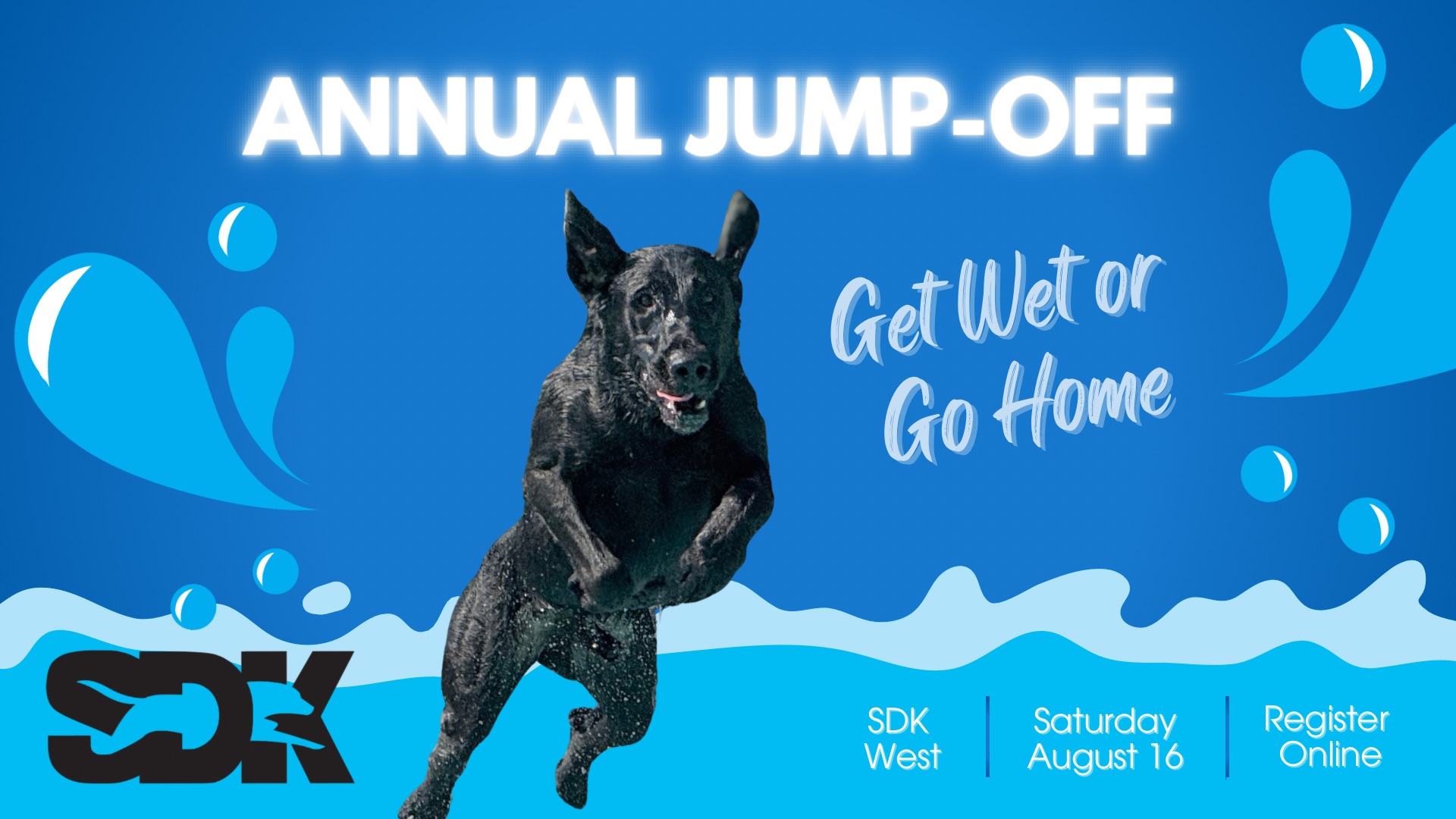 Jump-Off Dock Diving Competition